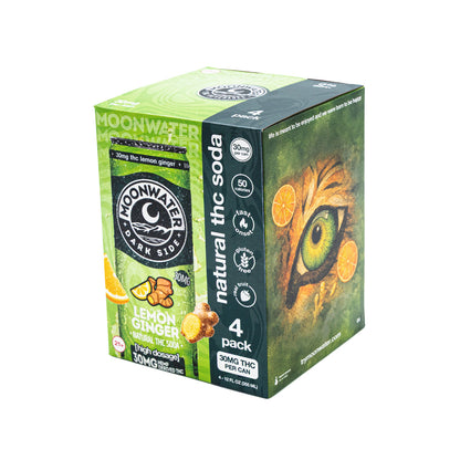 Darkside Lemon Ginger – 30MG