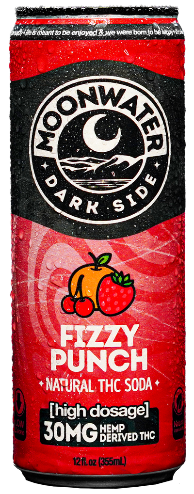 Fizzy Punch